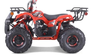 T-FORCE 125CC