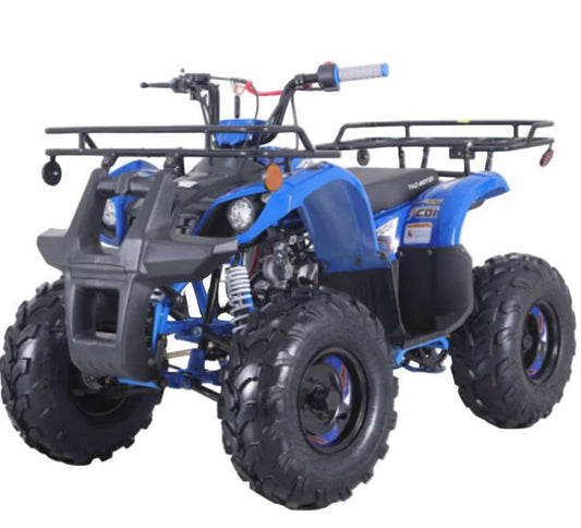 Tao Motors, New T-Force