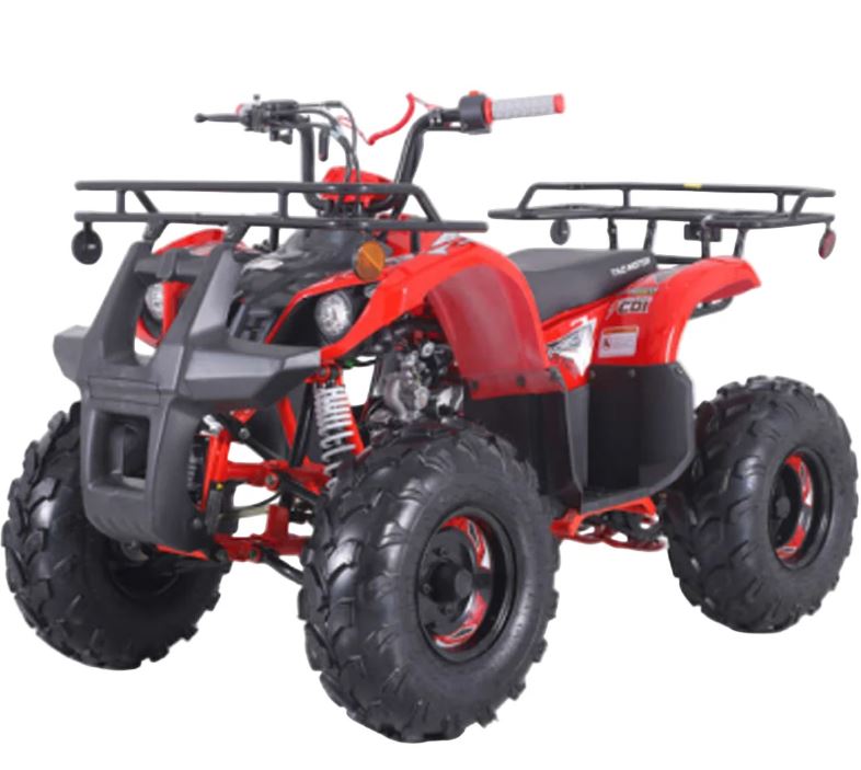 Tao Motors, New T-Force