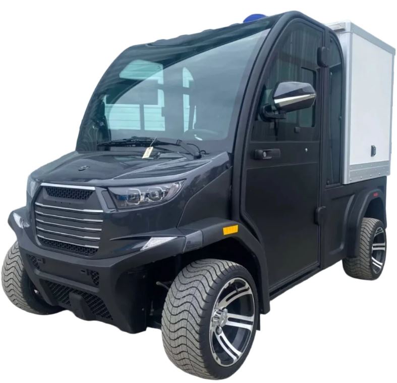 Gio, SERT-Cargo Cart de Golf Électrique