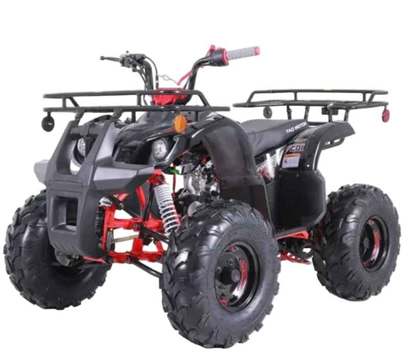 Tao Motors, New T-Force