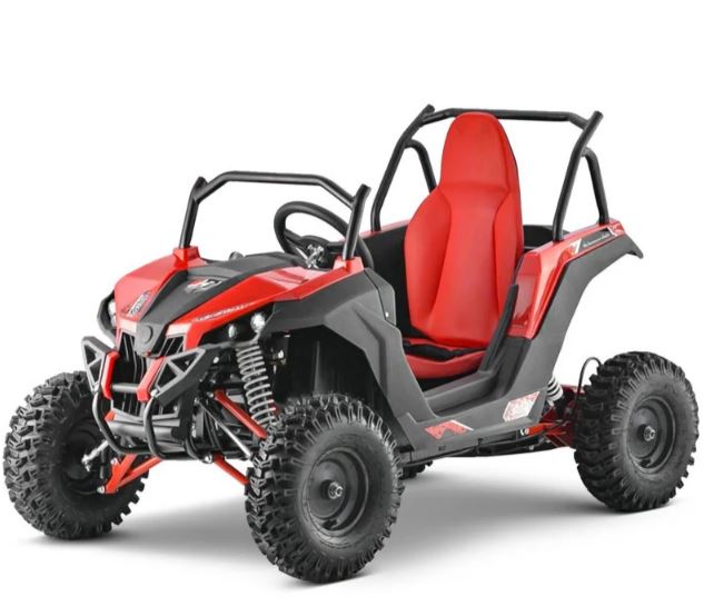 Buggy Renegade Extrême, Quad électrique