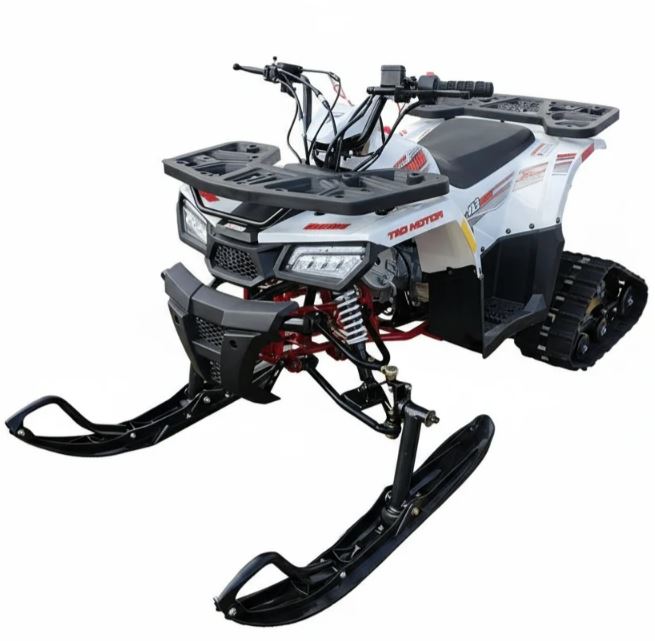 Tao Motors, New Raptor 125 avec chenilles et skis