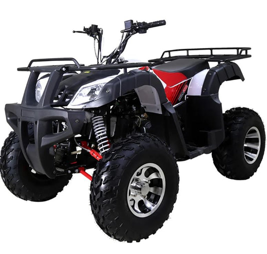 Tao Motors, Bull 200