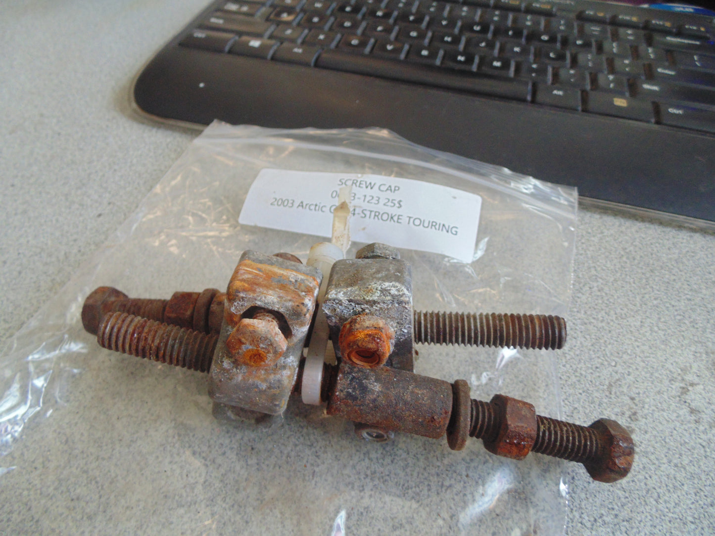 2003 ARCTIC CAT 4 STROKE TOURING SCREW CAP 0623-123