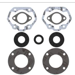 1973-1979 SKI DOO ELAN 250 VERTEX GASKET SET & OIL SEALS 711119A