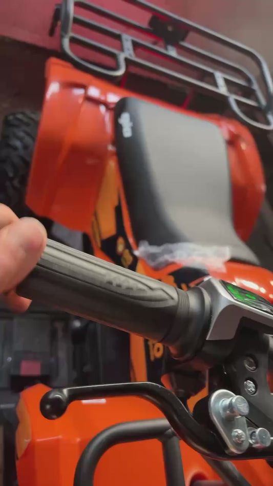 Buggy Électrique Renegade 1200W